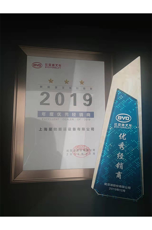 松江区比亚迪2019优秀经销商